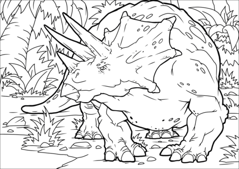 Triceratops Dinosaur Coloring Page